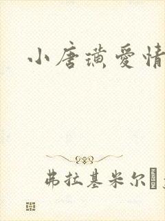 小唐璜爱情历史