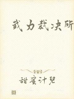 武力裁决所