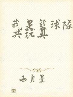 我是篮球队的公共玩具封面