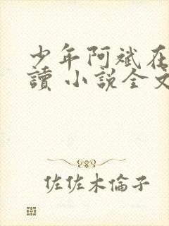少年阿斌在线阅读 小说全文免费