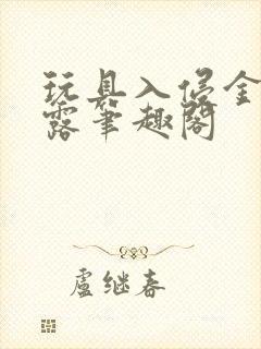玩具入侵金银花露笔趣阁