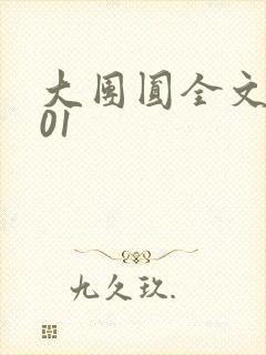 大团圆全文阅读01封面
