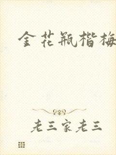 金花瓶楷梅花4