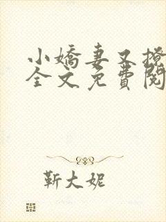 小娇妻又撩又甜全文免费阅读