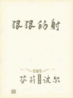 狠狠的射