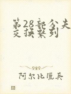 第28部分夫妇交换系列封面