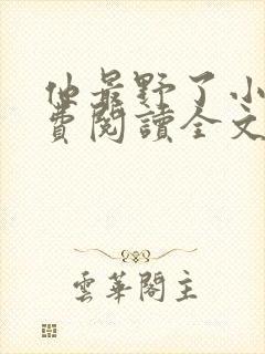 他最野了小说免费阅读全文