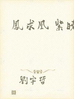 凤求凰 紫晓