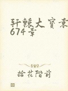 轩辕大宝袁雪妃674章