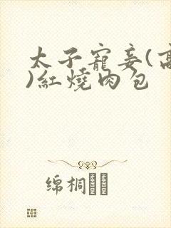 太子宠妾(高肉)红烧肉包