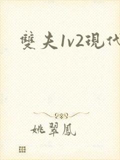 双夫1v2现代