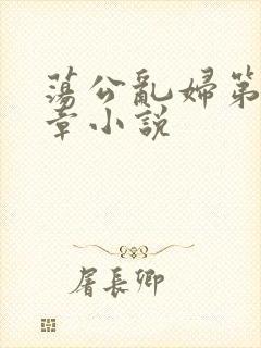 荡公乱妇第51章小说