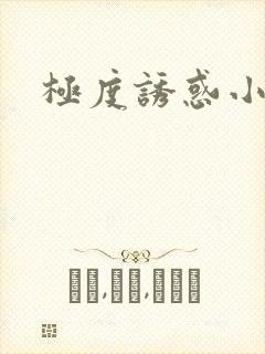 极度诱惑小说