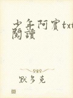 少年阿宾txt阅读封面