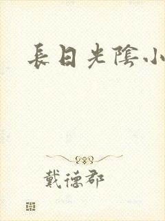 长日光阴小说