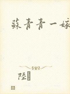苏青青一嫁三夫封面