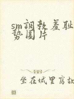sm调教羞耻姿势图片
