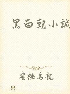 黑白朝小诚