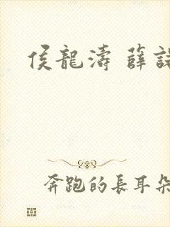 侯龙涛 薛诺