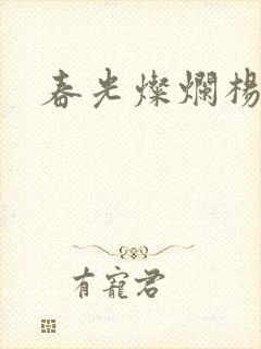 春光灿烂杨家将