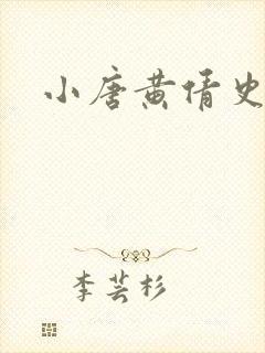 小唐黄倩史封面