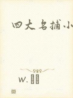 四大名捕小说