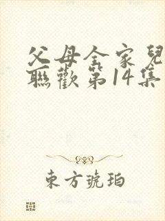 父母全家儿女大联欢第14集
