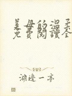 美母的温柔小说免费阅读全文笔趣阁封面