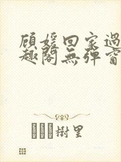 顾媛回家过年笔趣阁无弹窗