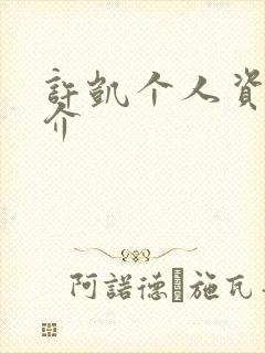 许凯个人资料简介