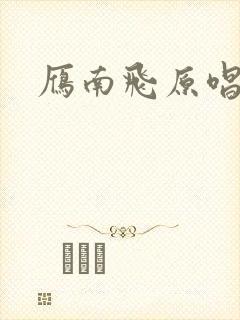雁南飞原唱封面