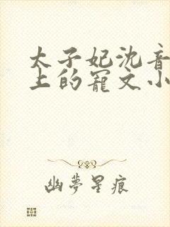 太子妃沈音和皇上的宠文小说