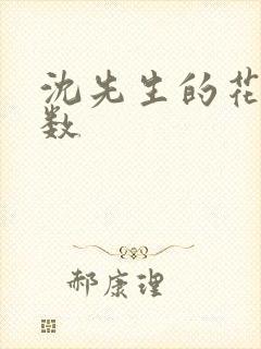 沈先生的花式调数