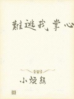 难逃我掌心封面