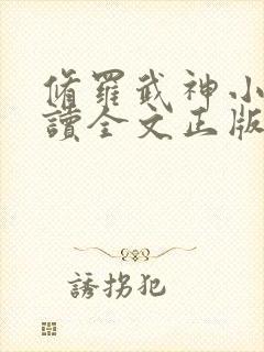 修罗武神小说阅读全文正版封面