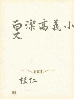 白洁高义小说全文