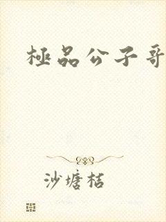 极品公子哥