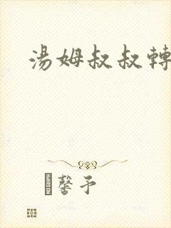 汤姆叔叔转接口