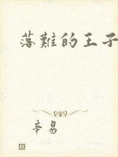 落难的王子