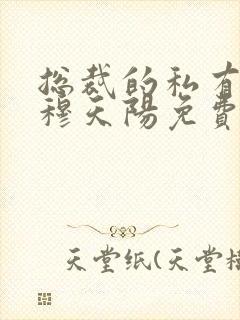 总裁的私有宝贝穆天阳免费封面