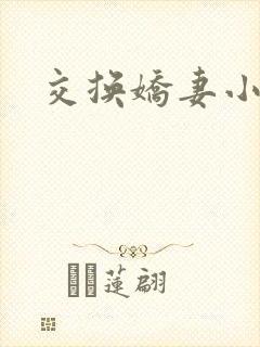交换娇妻小说