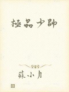 极品少帅