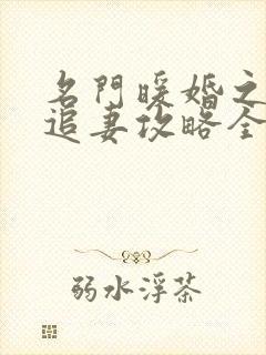 名门暖婚之权爷追妻攻略全文免费阅读