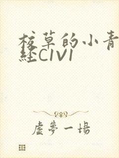校草的小青梅不经C1V1