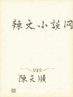 辣文小说网