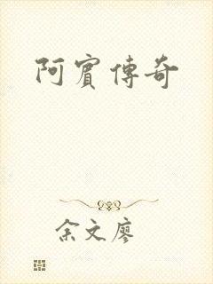 阿宾传奇封面