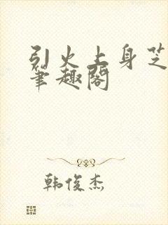 引火上身芝麻糖笔趣阁