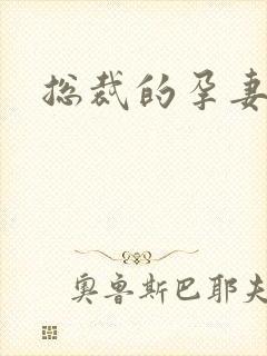 总裁的孕妻