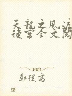 天龙之风流猎艳后宫全文阅读