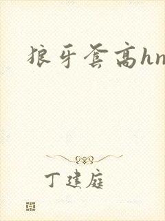 狼牙套高hnp封面